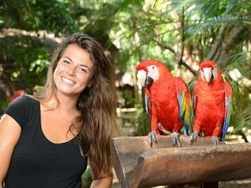 From Riviera Maya: Complete Combo to Xcaret Park! - An In-Depth Look at the Experience