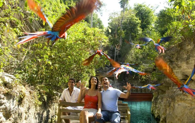 From Riviera Maya: Complete Combo to Xcaret Park! - Frequently Asked Questions