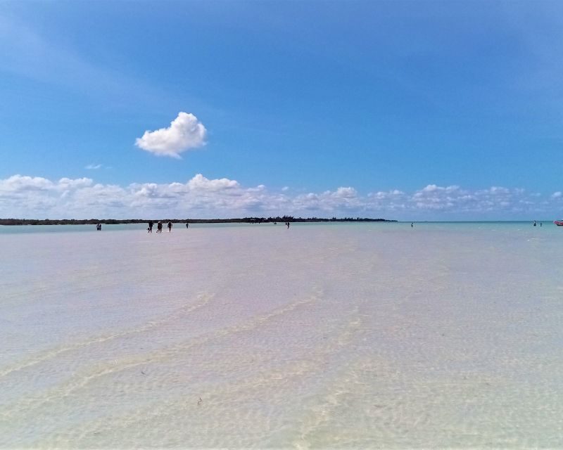 From Riviera Maya: Holbox Full-Day Tour with Lunch - The Less Attractive Aspects