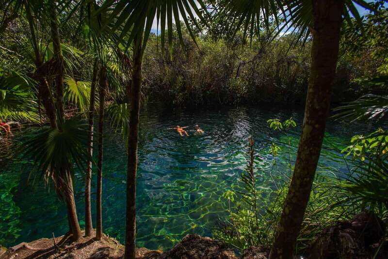 From Riviera Maya: Private Temazcal Ceremony & Cenote swim - Pricing & Value Analysis