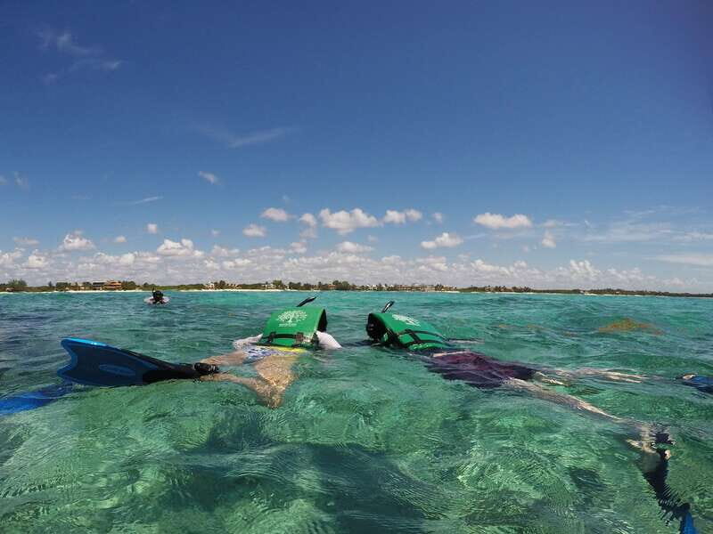 From Riviera Maya: Snorkeling & Private Cenote Half-Day Tour - Who Is This Tour Best For?