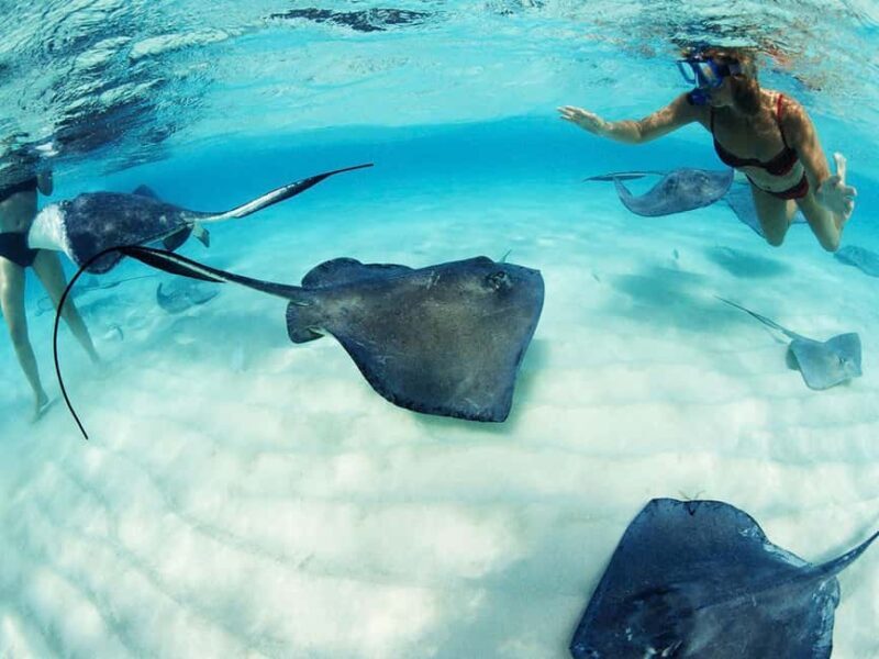 From Riviera Maya: Xcaret Park Plus, the complete experience - Detailed breakdown of the itinerary