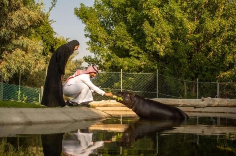 From Riyadh: Nofa Wildlife Park Private Day Trip - Who Will Love This Tour