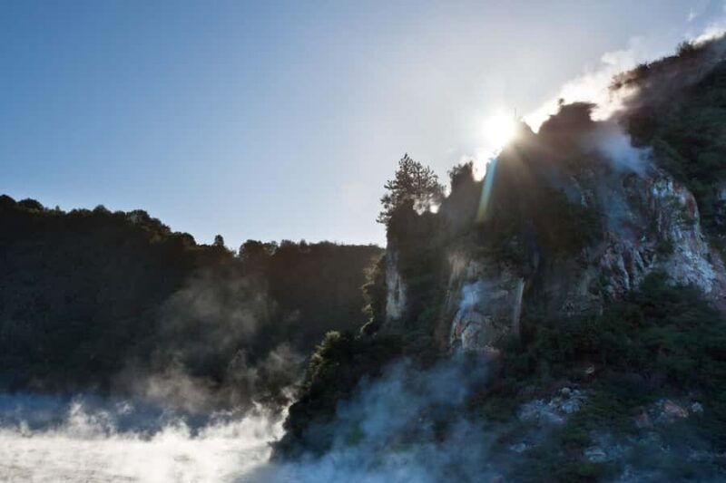 From Rotorua: Wai-O-Tapu, Waimangu and Te Puia Full-Day Tour - The Practical Side