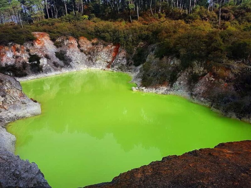 From Rotorua: Wai-O-Tapu, Waimangu and Te Puia Full-Day Tour - Who Should Book This Tour?