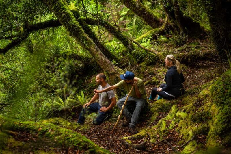 From Rotorua: Whirinaki Rainforest Guided Cultural Tour - The Sum Up