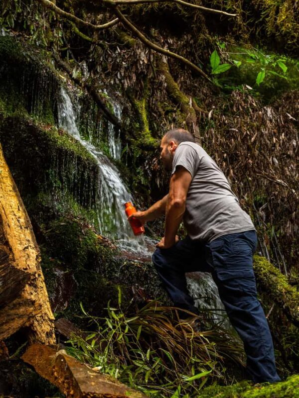 From Rotorua: Whirinaki Rainforest Guided Cultural Tour - FAQs