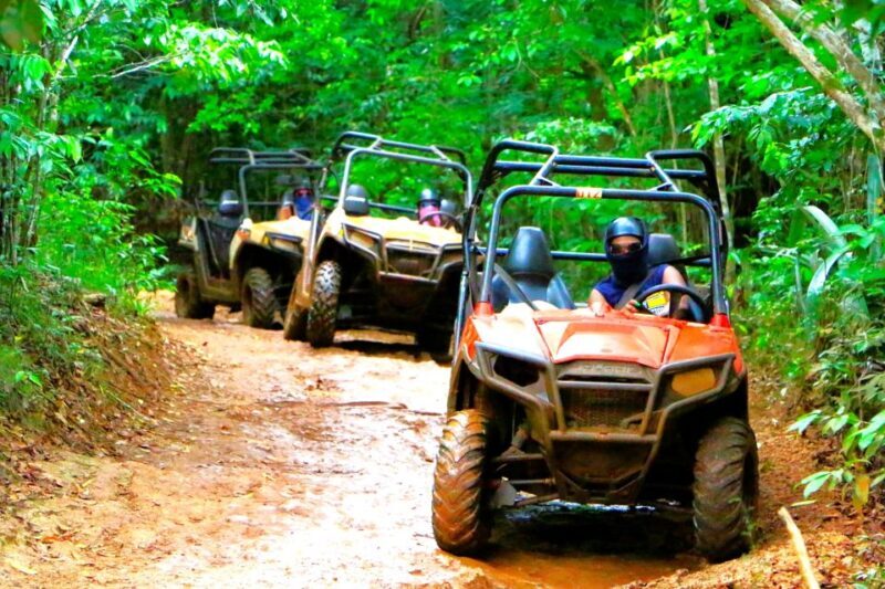 From Runaway Bay: Off Road Vehicle Adventure Tour - The Sum Up