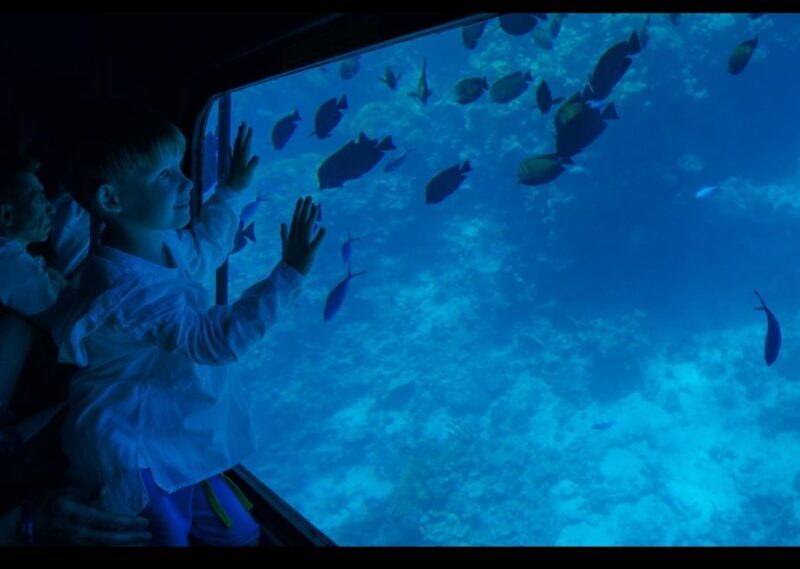 From Safaga: Royal Seascope Submarine with Snorkeling - An In-Depth Look at the Experience