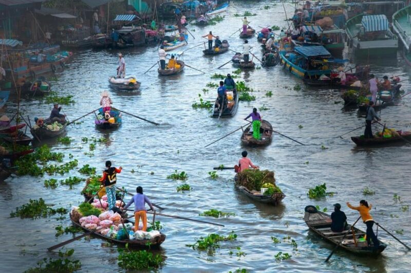From Saigon: Biggest Floating Market in 1 Day - Must See - The Sum Up: Who Will Love This Tour?