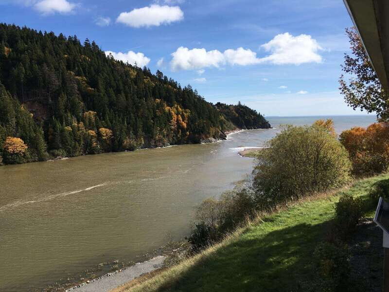 From Saint John: Bay of Fundy Bus Trip for Cruise Passengers - The Guide and Group Experience