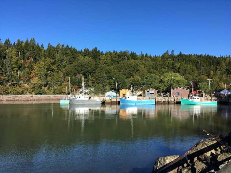 From Saint John: Bay of Fundy Bus Trip for Cruise Passengers - Practical Details and Tips