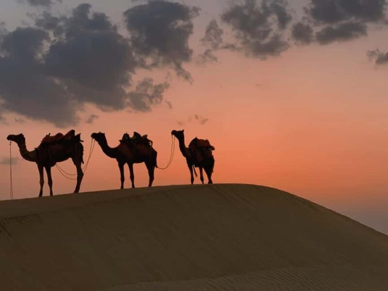 From Salalah: Lost City (Full Day Excursion to Rub Al Khali) - An Honest Look at the Full-Day Tour from Salalah