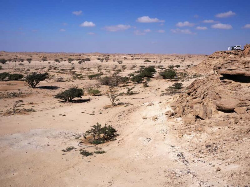 From Salalah: Lost City (Full Day Excursion to Rub Al Khali) - The Practicalities: What’s Included and What to Consider