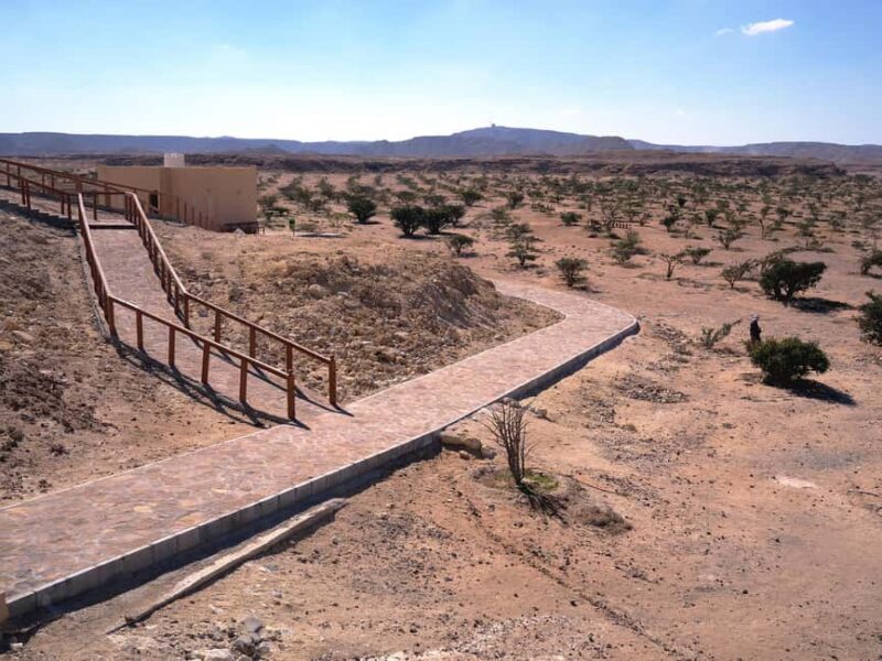 From Salalah: Lost City (Full Day Excursion to Rub Al Khali) - FAQs