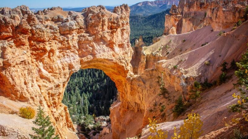 From Salt Lake City: Private Bryce Canyon National Park Tour - The Experience on the Ground: What You’ll See and Feel