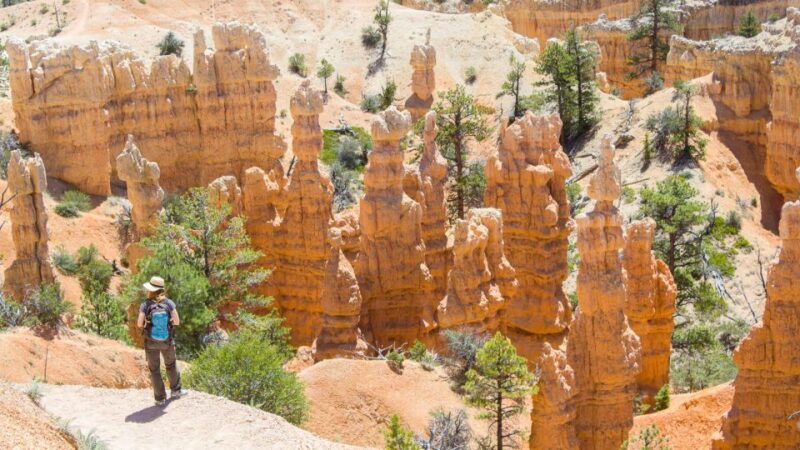 From Salt Lake City: Private Bryce Canyon National Park Tour - Who Would Benefit Most?