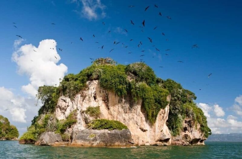 From Samana: Los Haitises Boat and Walking Tour with Lunch - A Balanced Perspective on Value and Experience