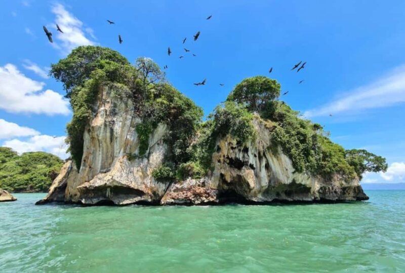 From Samana: Los Haitises Boat and Walking Tour with Lunch - Frequently Asked Questions