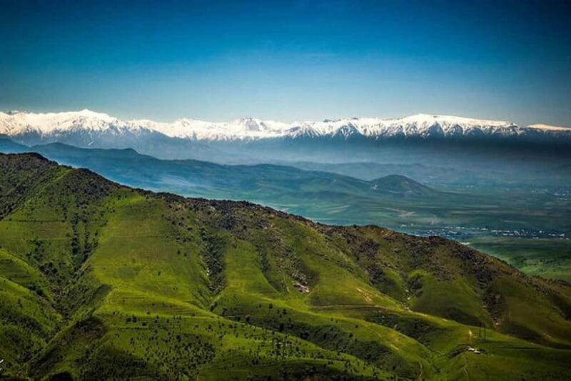 From Samarkand: Shahrisabz Private Day Tour - Frequently Asked Questions