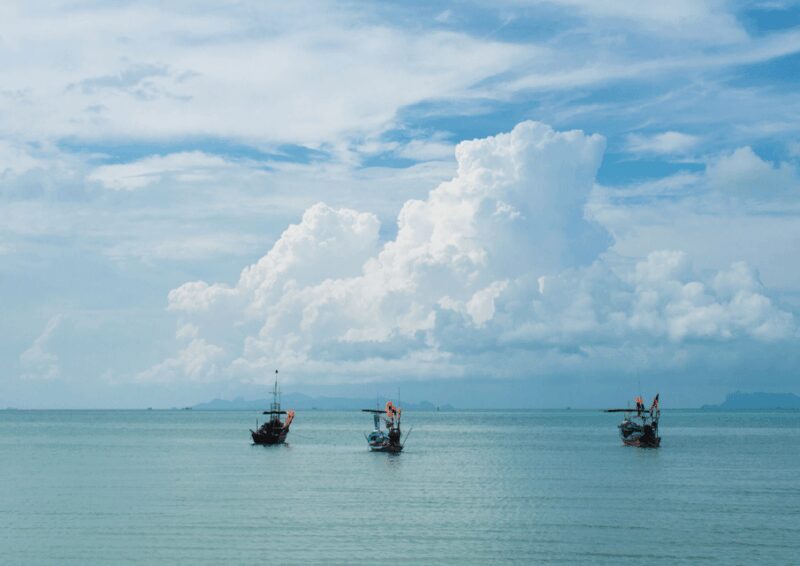 From Samui: Angthong National Park Snorkeling & Kayaking - Who Is This Tour Best For?