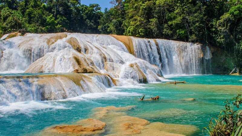 From San Cristóbal: Agua Azul and Palenque Day Trip - Key Points