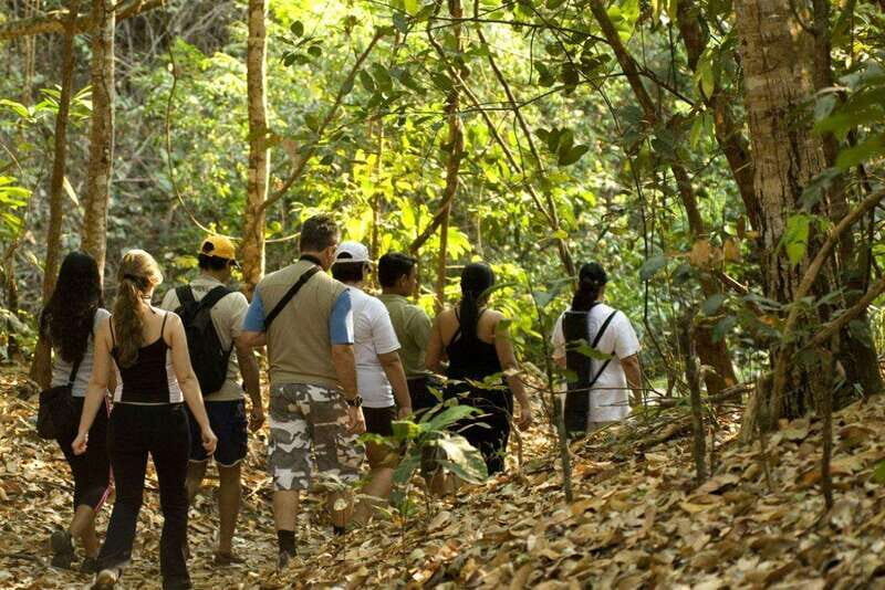 From San Cristóbal: Lacandona Jungle 3 Days Tour - Day 3: Jungle Hike and Waterfalls