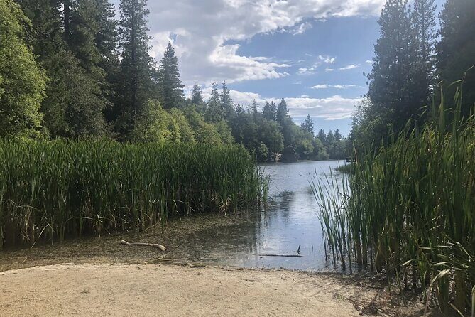 From San Diego: Two-Day Camping and Hiking Adventure in Idyllwild - An In-Depth Look at the Idyllwild Camping Adventure
