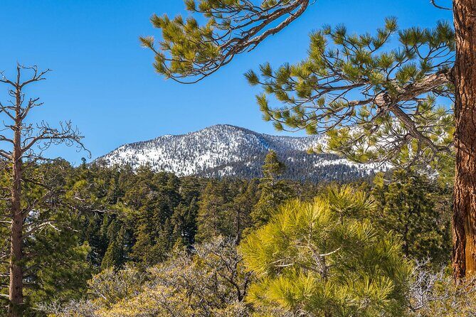 From San Diego: Two-Day Camping and Hiking Adventure in Idyllwild - What Travelers Can Expect