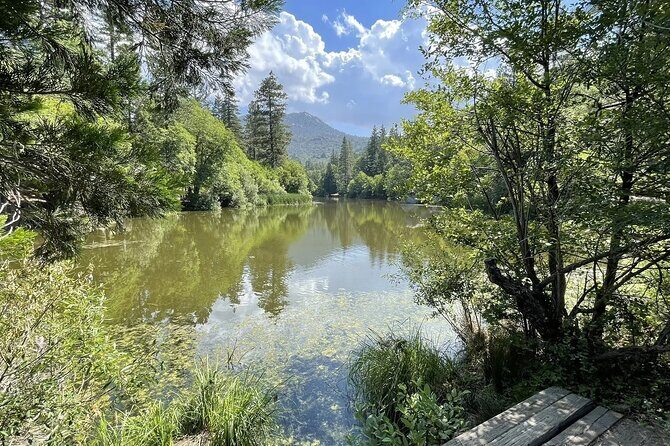 From San Diego: Two-Day Camping and Hiking Adventure in Idyllwild - Final Thoughts: Who Is This Tour Best For?