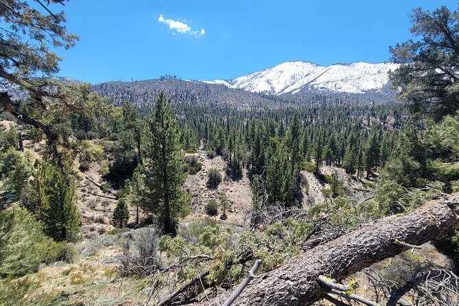 From San Diego: Two-Day Kayaking & Hiking at Big Bear Lake - A Practical Guide to the Big Bear Experience