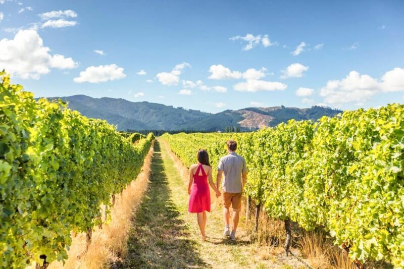 From San Francisco: Alcatraz Night Tour, Muir Woods and Wine - Exploring the San Francisco Bay and Beyond: What’s Included and How It All Fits Together