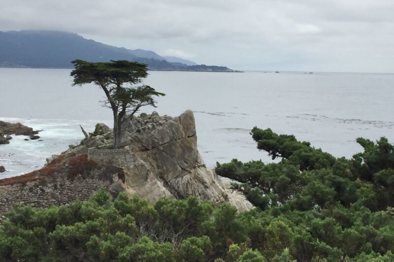 From San Francisco: Carmel, Monterey & Big Sur Private Tour - A Personal Look at the Scenic Route