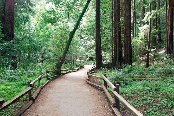From San Francisco: Guided Tour to Muir Woods Coastal Redwoods - Practical Tips for Your Tour