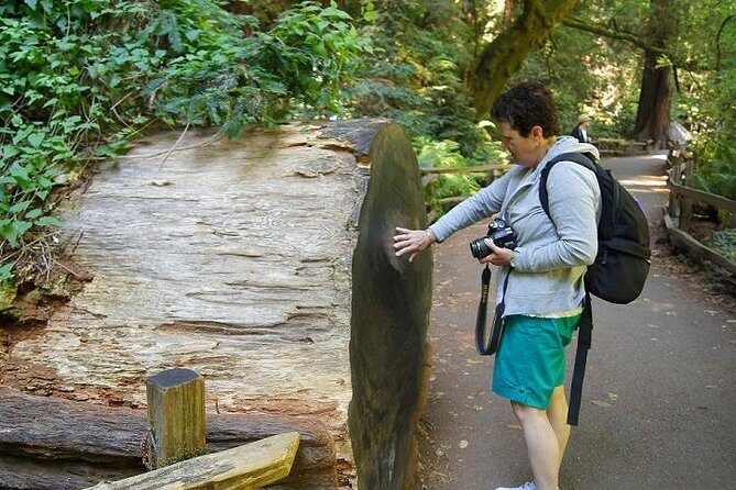 From San Francisco: Guided Tour to Muir Woods Coastal Redwoods - Who Is This Tour Best For?
