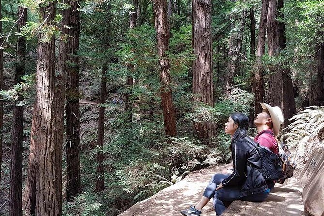 From San Francisco: Guided Tour to Muir Woods Coastal Redwoods - The Sum Up