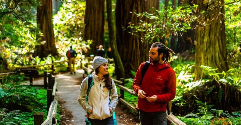 From San Francisco: Muir Woods and Sausalito Half-Day Trip - Practical Details and Tips