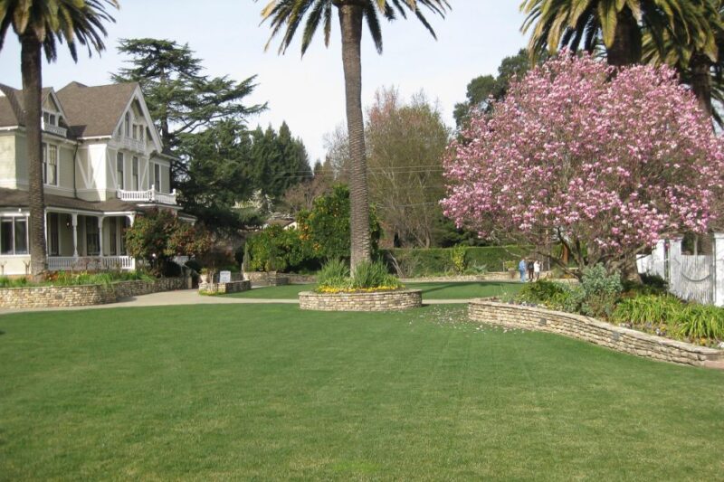 From San Francisco: Napa & Sonoma Valley Full-Day Wine Tour - The Sum Up