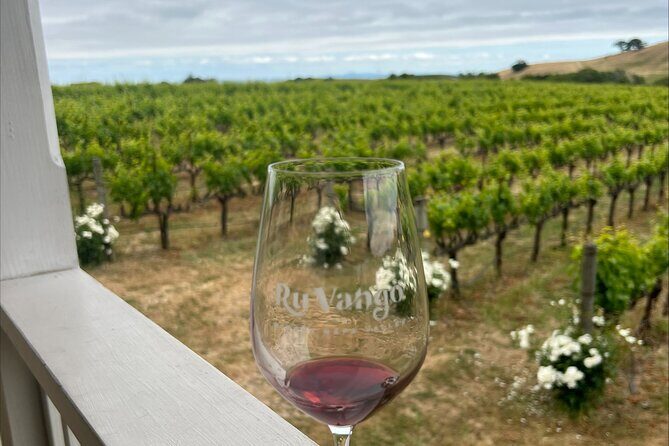 From San Francisco: Napa & Sonoma Valley Wine Tour with Tastings - A Full Breakdown of the Itinerary and What to Expect