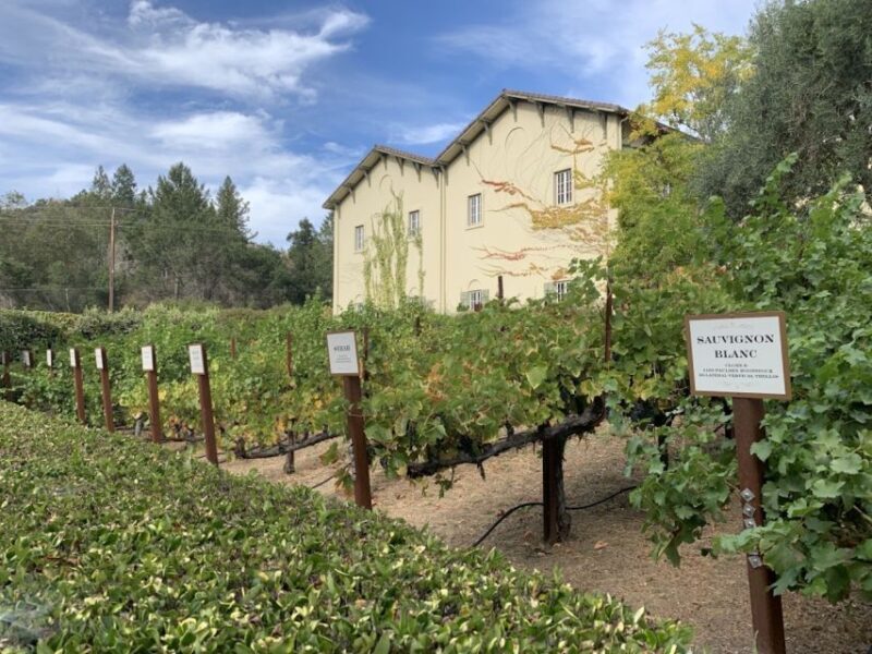 From San Francisco: Private Muir Woods and Napa Wine Tour - Who should consider this tour?
