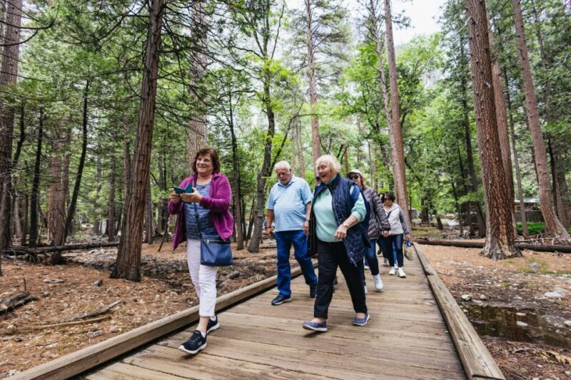 From San Francisco: Yosemite National Park Guided Day Trip - A Deep Dive into the Yosemite Day Trip