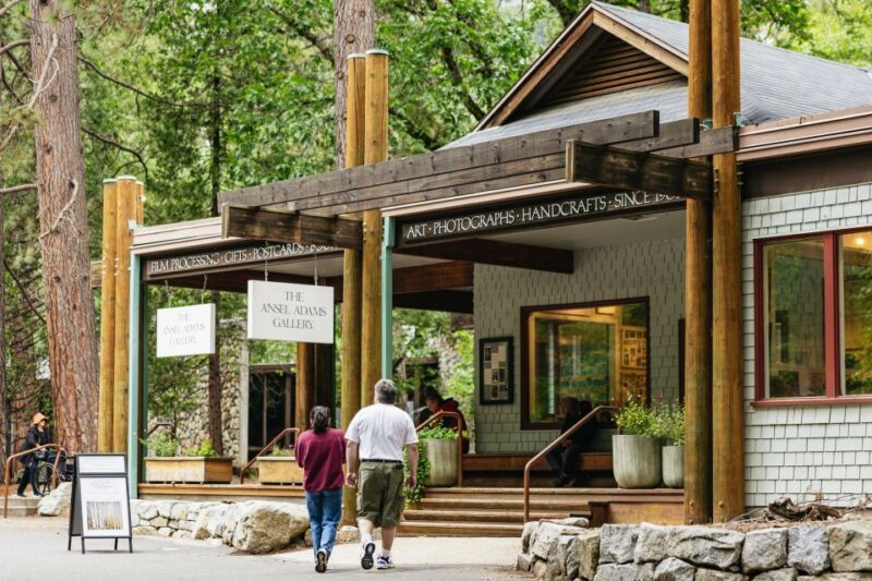 From San Francisco: Yosemite National Park Guided Day Trip - Practical Considerations: Is This Trip For You?