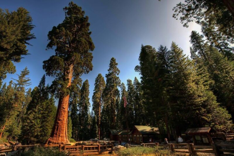 From San Francisco: Yosemite Private Full-Day Trip - Timing and Logistics