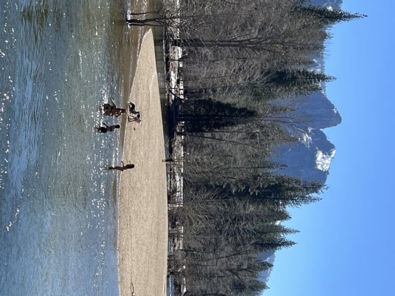 From San Francisco: Yosemite Private Full-Day Trip - Value for Money