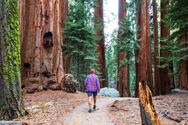 From San Francisco: Yosemite & Tahoe Sierras 4-Day Trip - Exploring California’s Sierra: An Overview