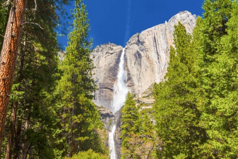 From San Francisco: Yosemite & Tahoe Sierras 4-Day Trip - Frequently Asked Questions