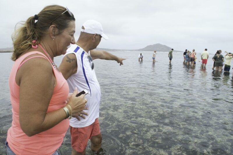 From Santa Maria: Guided Lemon Shark Watching - The Itinerary: What to Expect from Start to Finish