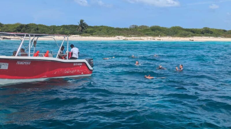 From Santo Domingo: Catalina Island Day Tour - Value and Cost Analysis