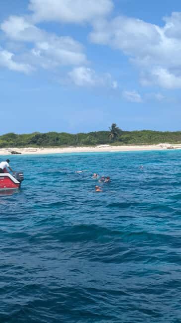 From Santo Domingo: Catalina Island Day Tour - Who Will Love This Tour?