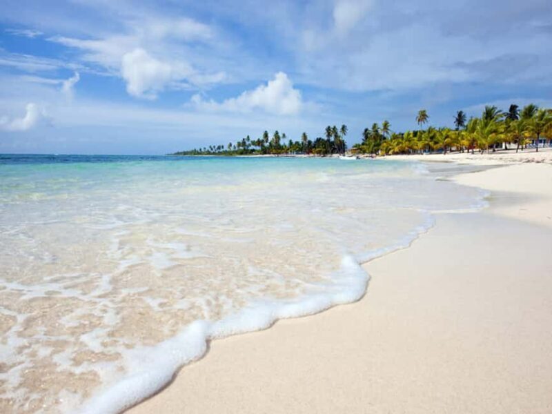 From Santo Domingo: Saona Island Day Trip with Lunch - A Closer Look at the Saona Island Day Trip